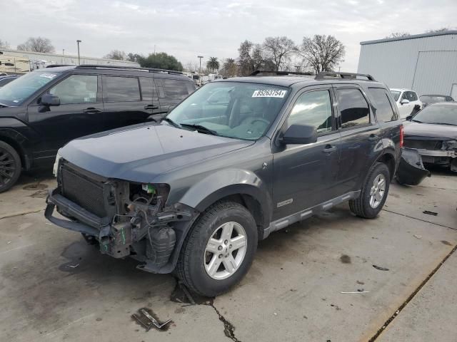 2008 Ford Escape HEV