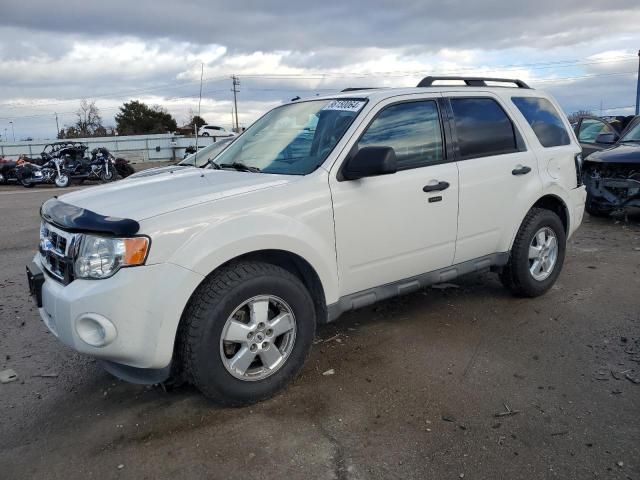 2009 Ford Escape XLT