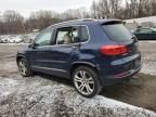 2013 Volkswagen Tiguan S