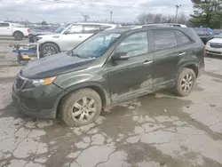 Salvage cars for sale at Lexington, KY auction: 2012 KIA Sorento Base