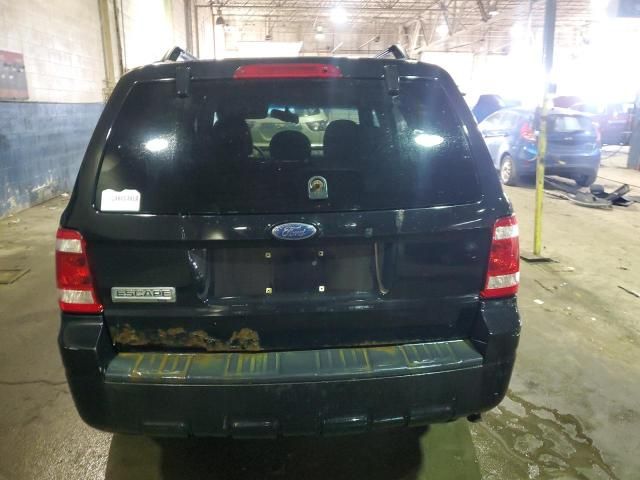 2009 Ford Escape XLT