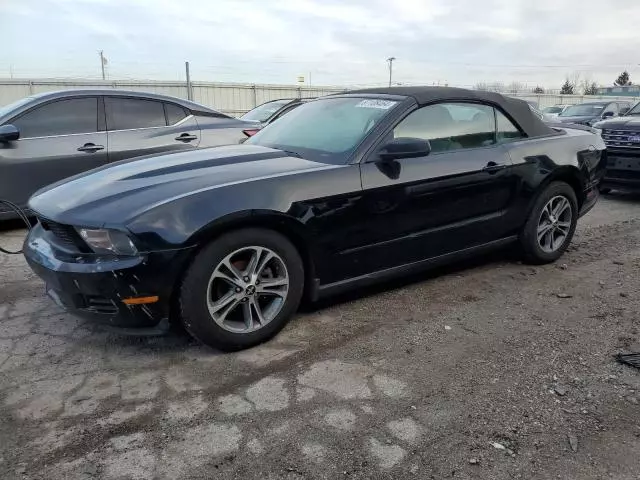 2010 Ford Mustang