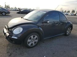 Volkswagen Beetle salvage cars for sale: 2007 Volkswagen New Beetle 2.5L