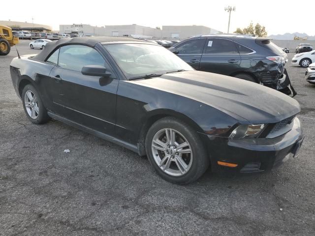 2010 Ford Mustang