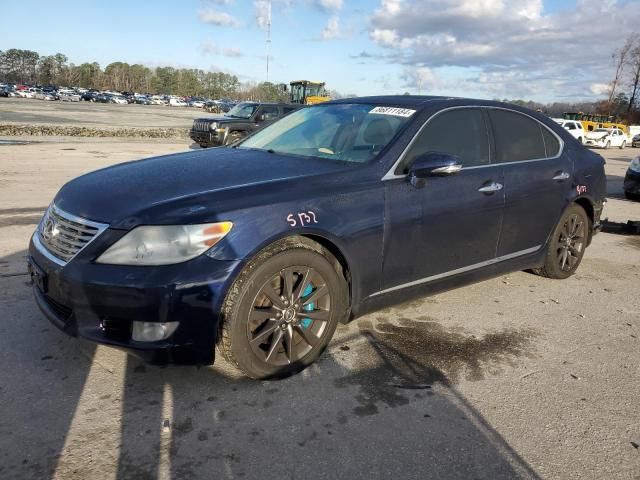 2010 Lexus LS 460