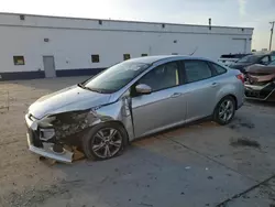 Ford Focus salvage cars for sale: 2014 Ford Focus SE