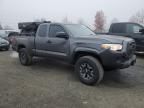 2021 Toyota Tacoma Access Cab