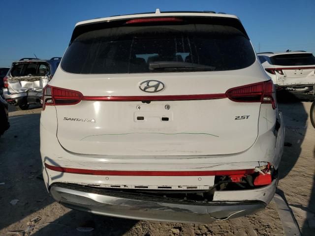 2023 Hyundai Santa FE Calligraphy