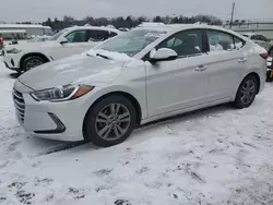 Salvage cars for sale at Pennsburg, PA auction: 2017 Hyundai Elantra SE