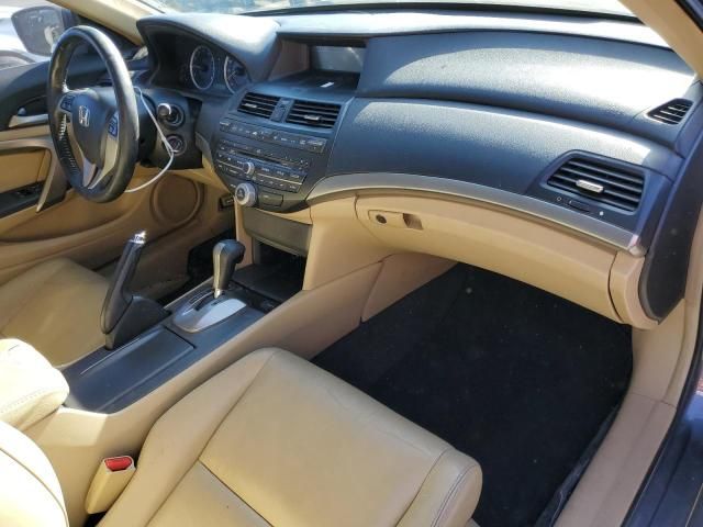 2008 Honda Accord EXL