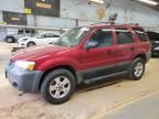 2005 Ford Escape XLT