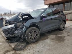 Ford Escape sel salvage cars for sale: 2022 Ford Escape SEL