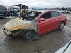 Salvage cars for sale at San Martin, CA auction: 2017 Hyundai Elantra SE