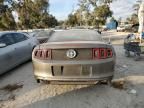 2013 Ford Mustang