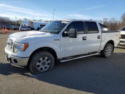 Salvage cars for sale from Copart East Granby, CT: 2013 Ford F150 Supercrew