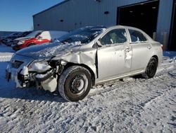 Toyota salvage cars for sale: 2010 Toyota Corolla Base