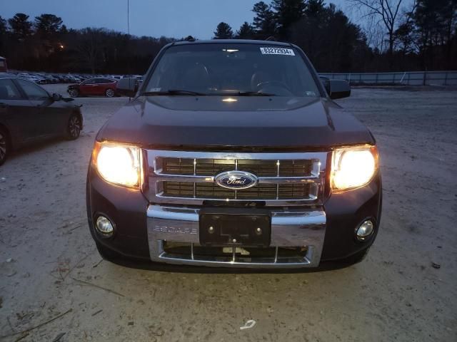 2009 Ford Escape Limited