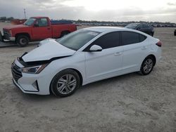 Salvage cars for sale at Arcadia, FL auction: 2019 Hyundai Elantra SEL