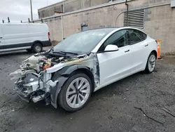 Salvage cars for sale at Fredericksburg, VA auction: 2021 Tesla Model 3