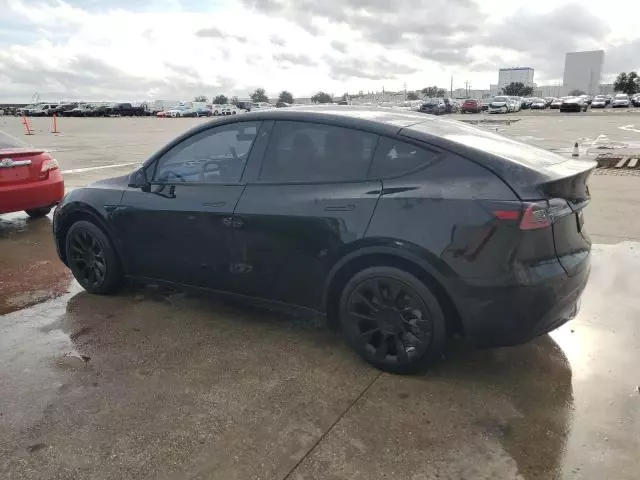 2020 Tesla Model Y