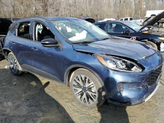 2020 Ford Escape SE Sport