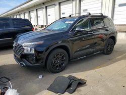 Hyundai Santa fe salvage cars for sale: 2023 Hyundai Santa FE XRT