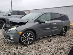 Honda Odyssey salvage cars for sale: 2019 Honda Odyssey Elite