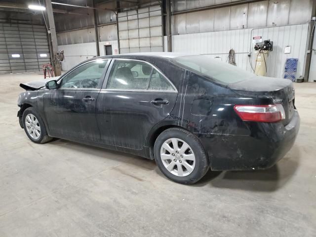 2009 Toyota Camry Hybrid