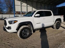 Salvage cars for sale at Rogersville, MO auction: 2023 Toyota Tacoma Double Cab