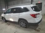 2019 Honda Pilot EXL