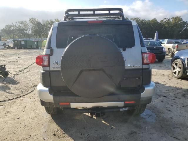 2010 Toyota FJ Cruiser