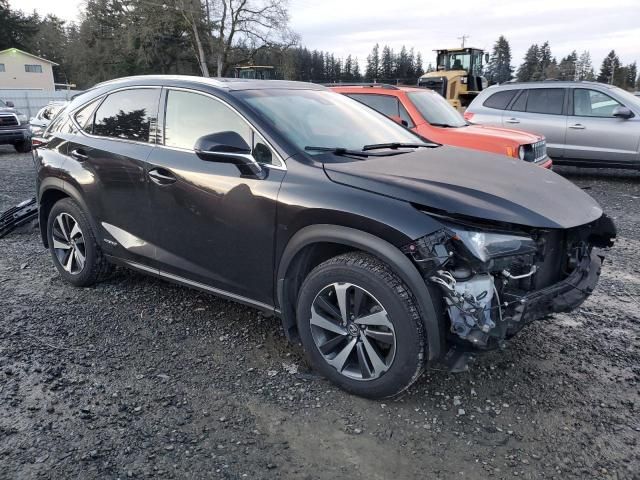 2018 Lexus NX 300H