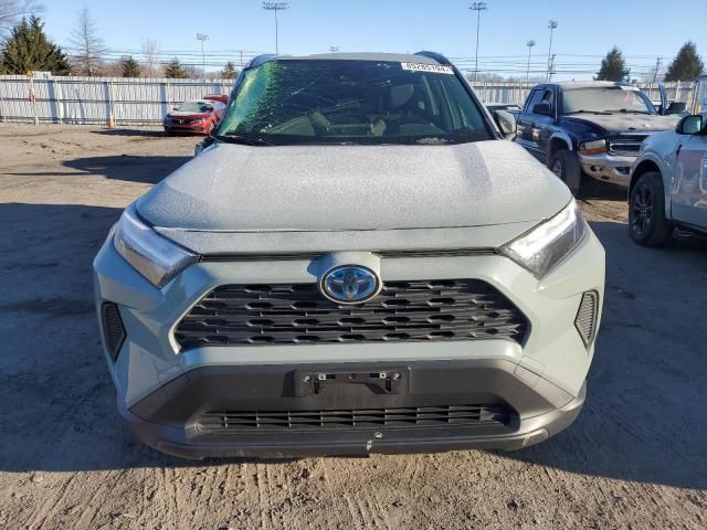 2023 Toyota Rav4 XLE