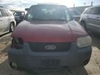 2005 Ford Escape XLT