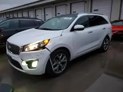 Salvage cars for sale at Louisville, KY auction: 2016 KIA Sorento SX