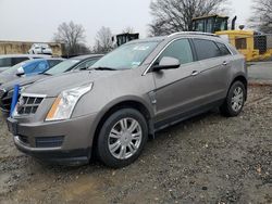 Salvage cars for sale at Laurel, MD auction: 2011 Cadillac SRX Luxury Collection