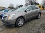 2011 Cadillac SRX Luxury Collection