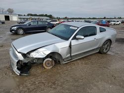 Salvage cars for sale at Harleyville, SC auction: 2014 Ford Mustang