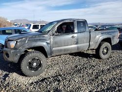 Salvage SUVs for sale at auction: 2007 Toyota Tacoma Access Cab