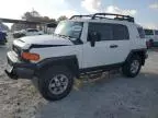 2011 Toyota FJ Cruiser