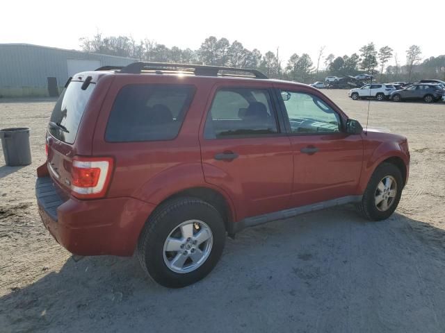 2011 Ford Escape XLT