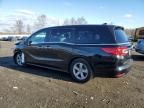 2020 Honda Odyssey EXL