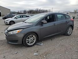 Ford Focus Vehiculos salvage en venta: 2017 Ford Focus SE