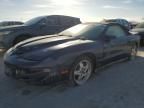 2002 Pontiac Firebird Trans AM