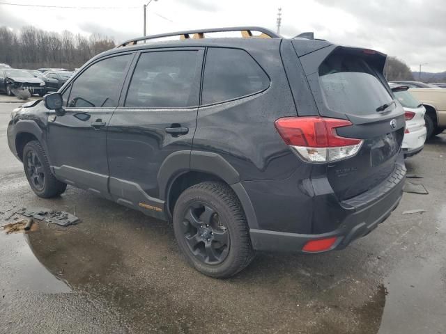 2023 Subaru Forester Wilderness