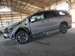 Salvage cars for sale at Phoenix, AZ auction: 2021 Honda Odyssey EXL