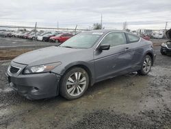 2010 Honda Accord EXL en venta en Eugene, OR