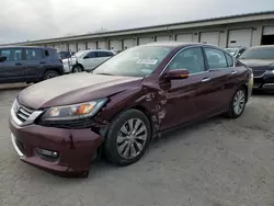 2014 Honda Accord EXL en venta en Louisville, KY