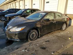 Salvage cars for sale at Louisville, KY auction: 2016 Nissan Altima 2.5