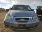 2010 Honda Odyssey EXL